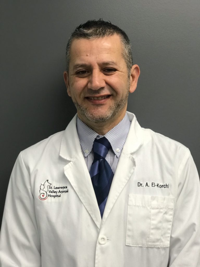 Dr. Adnan El-Korchi – St. Lawrence Valley Animal Hospital